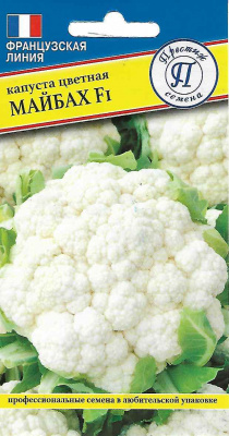 kapusta_maybah