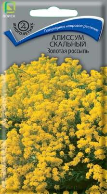 alissum_skalny_zolotaya_rossyp