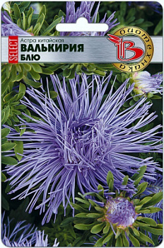 Астрав валькирия блю
