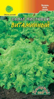 Салат витаминный