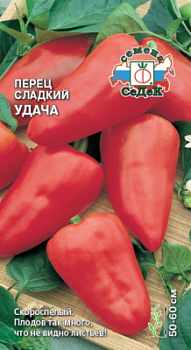 perets_udacha
