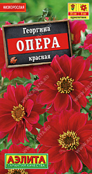 Георгина Опера красная