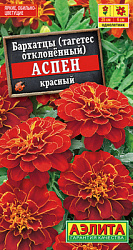 Бархатцы Аспен красный_ЦП
