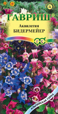 Аквилегия бидермейер