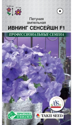 Петуния ивнинг сенсейшн