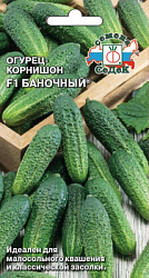 ogurets_banochnyy_f1