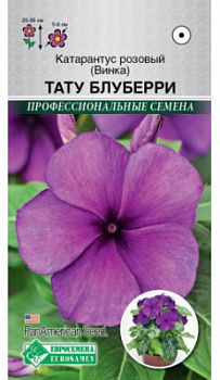 Блуберри