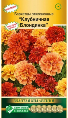 Клубничная блондинка