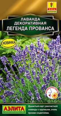 Лаванда декоративная Легенда Прованса_ЦП