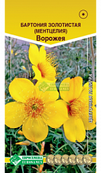 Бартония Ворожея