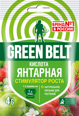 01-248 ЯНТАРНАЯ КИСЛОТА 4г