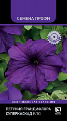 petunia_grandiflora_superkaskad_blue