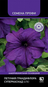 petunia_grandiflora_superkaskad_blue
