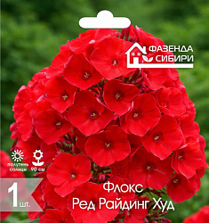 Флокс ред райдинг худ