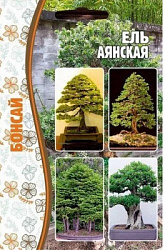 Ель Аянская