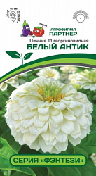 Цинния белый антик