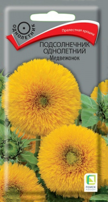 podsolnechnik_odnoletny_medvezhonok