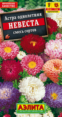 Астра Невеста, смесь окрасок_ЦП