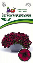 Петуния изи вэйв бургунди велюр