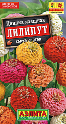 Цинния Лилипут, смесь сортов_ЦП