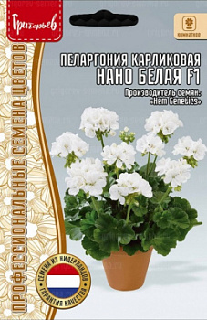 Пеларгония Нано Белая