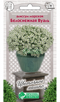 Алиссум Белоснежная Вуаль