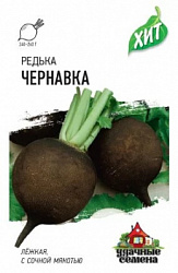 Редька Чернавка