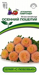 астра осенний поцелуй