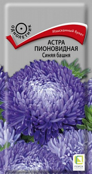 astra_pion_sinyaya_bashnya