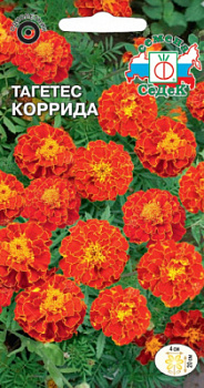 tagetes_korrida