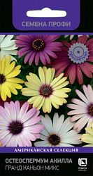 osteospermum_akilla_grand_kanoyn_mix