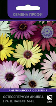 osteospermum_akilla_grand_kanoyn_mix
