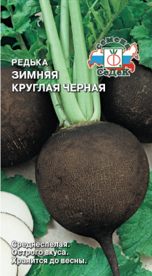redka_zimnyaya_kruglaya_chernaya