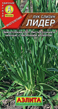 Лук слизун Лидер