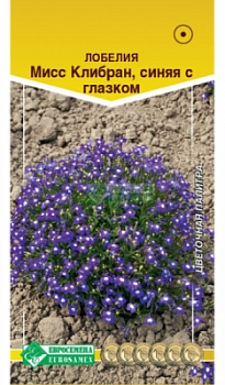 Лобелия Миссис Клибран, синяя с глазком
