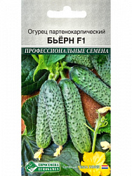 ЦБ-00000542_1