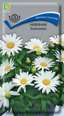Нивяник Белоснежка