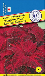 Красный бархат
