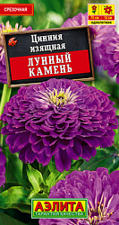 Цинния Лунный камень_ЦП