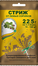 strizh_22_5_paket_new_s_dyrkoy