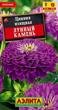 Цинния Лунный камень_ЦП