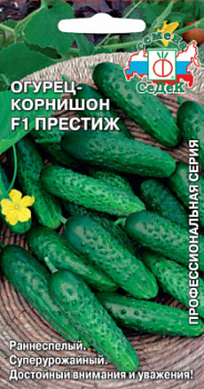 ogurets_prestizh_f1
