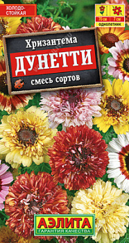 Хризантема дунетти