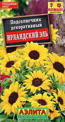 Подсолнечник Ирландский эль_ЦП