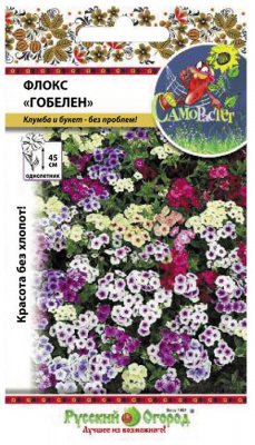 флокс-Гобелен