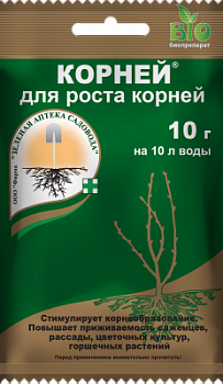 korney_10_paket_2021