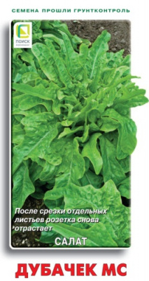 salat_dubachek_mc
