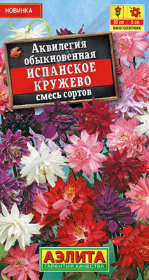 Аквилегия испанское кружево