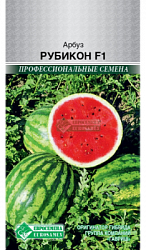 Арбуз Рубикон