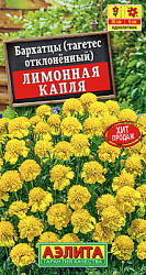 Бархатцы Лимонная капля отклоненные_ЦП